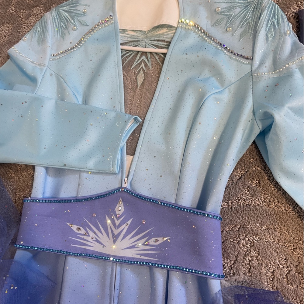 Deluxe Elsa Frozen Cosplay with custom boots - Picture 3 of 7